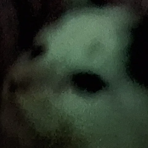 creator Emily aojs's avatar