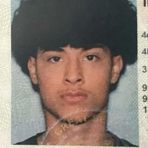 creator Alex( CHINO)'s avatar