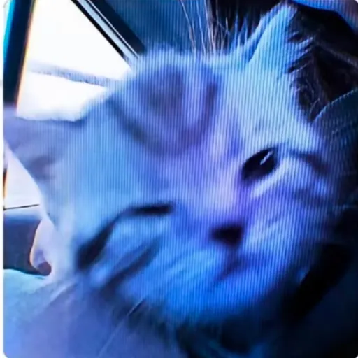 creator ★💙Kitty💙★'s avatar