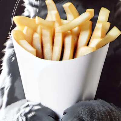 chat with ai character: Cat With Fries