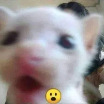 creator TsDumbAF's avatar