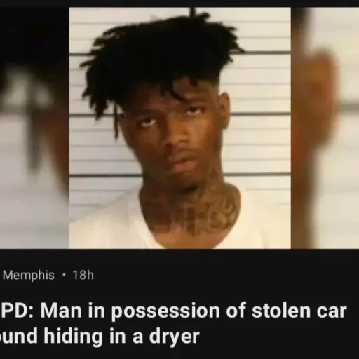 creator misscircle134's avatar