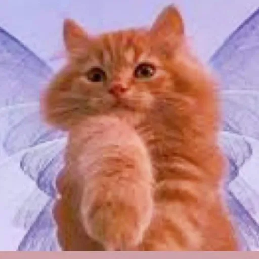 creator Trulyᰔᩚ's avatar
