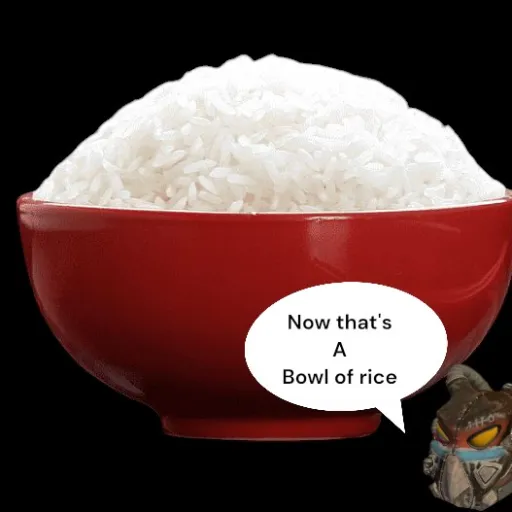 creator rice bowl's avatar