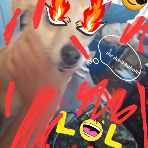 creator evil wolf god's avatar