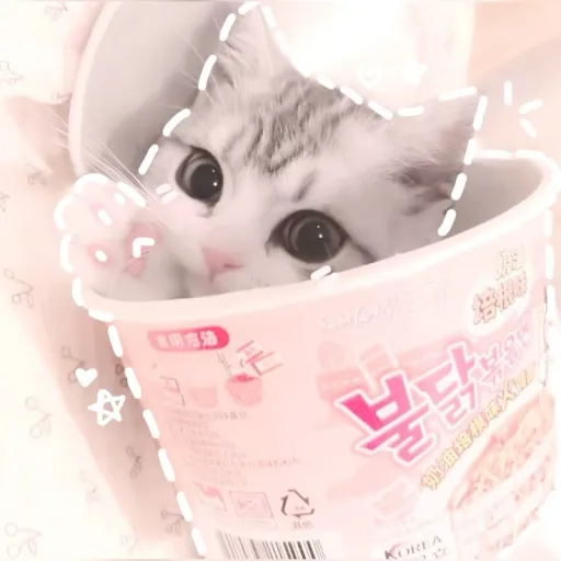 creator 𝐼𝓁𝓊𝓋𝒻𝑜𝑜𝒹4𝑒𝓋𝑒𝓇's avatar