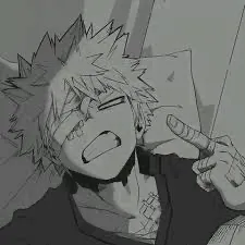 creator Bakugos_wifu🔥❤️'s avatar