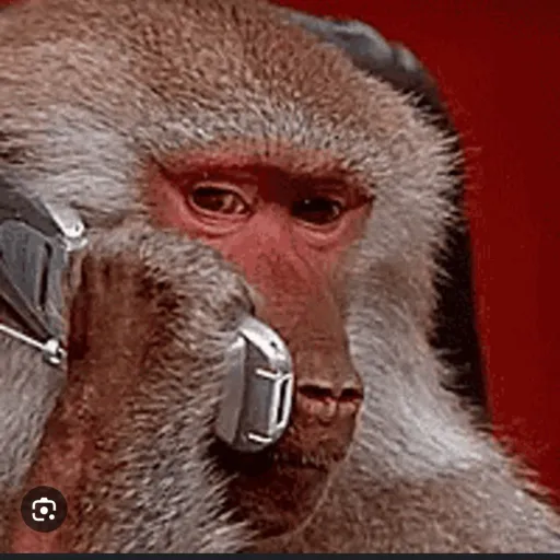 creator Ape With A Phone's avatar