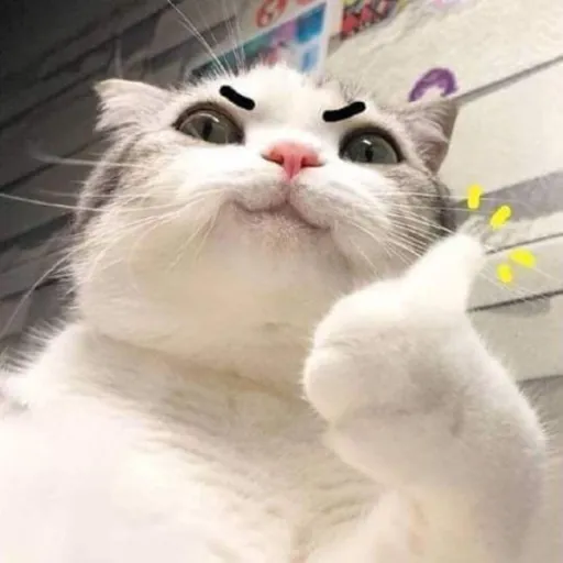 creator lăng ba vi bộ's avatar