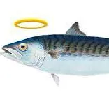 creator THE HOLY MACKEREL!'s avatar