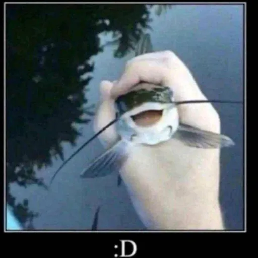 creator ‡death_angel‡'s avatar