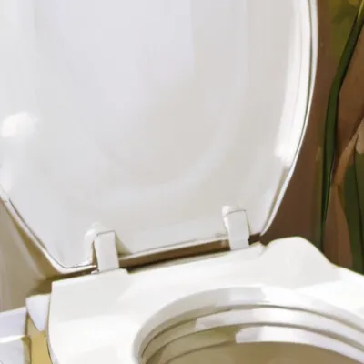 chat with ai character: Skibidi toilet