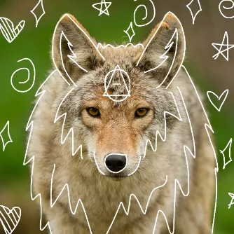 creator Ellie111213's avatar