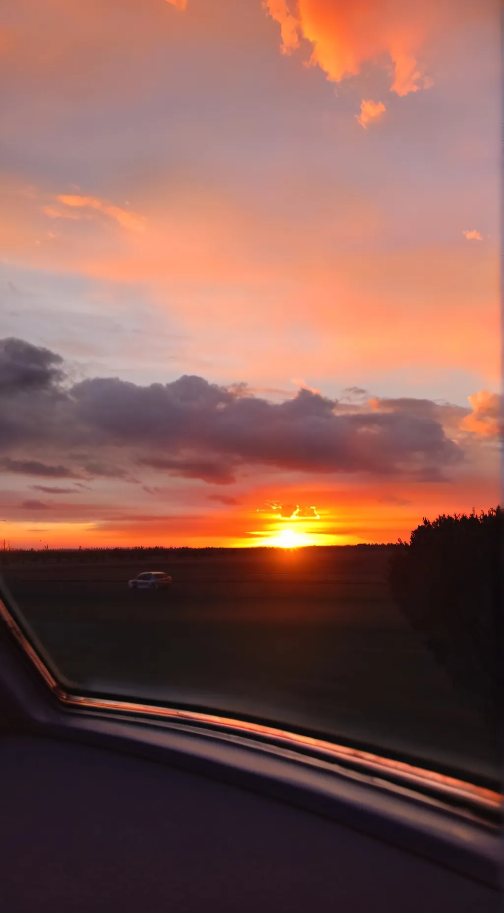 ai character: . . . background