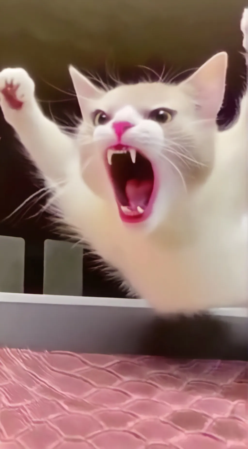 ai character: Angry cat background