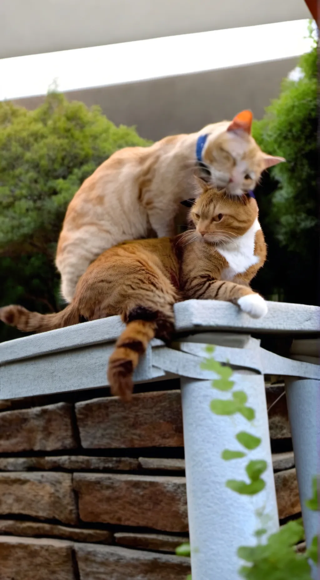 ai character: Cats doing sus 5 background