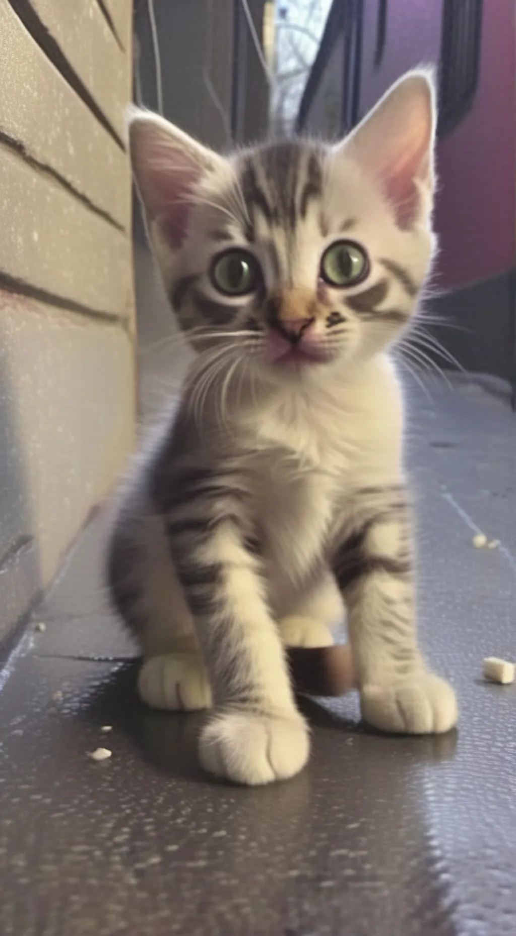 ai character: Charlie the cat background