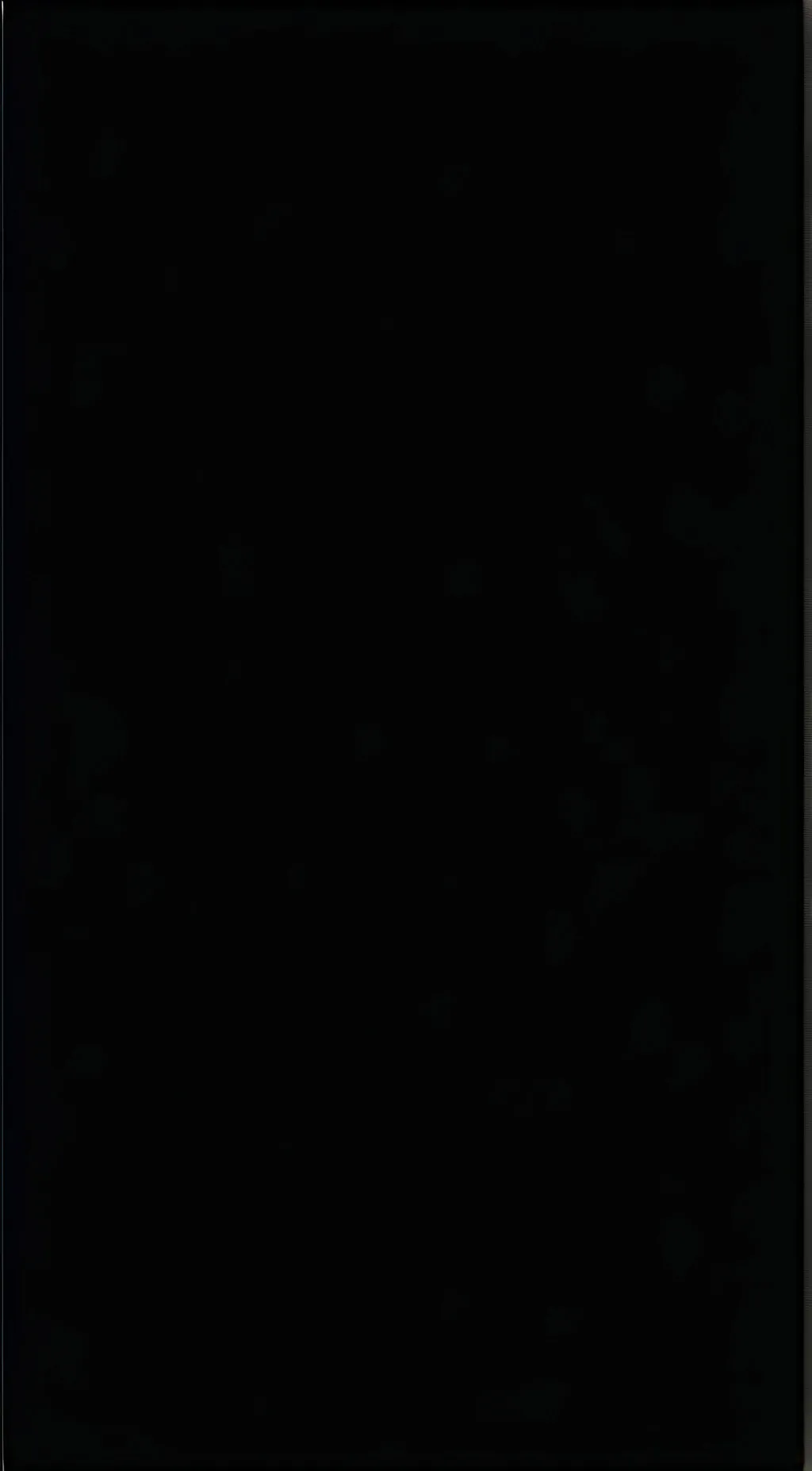 ai character: Ghost  background