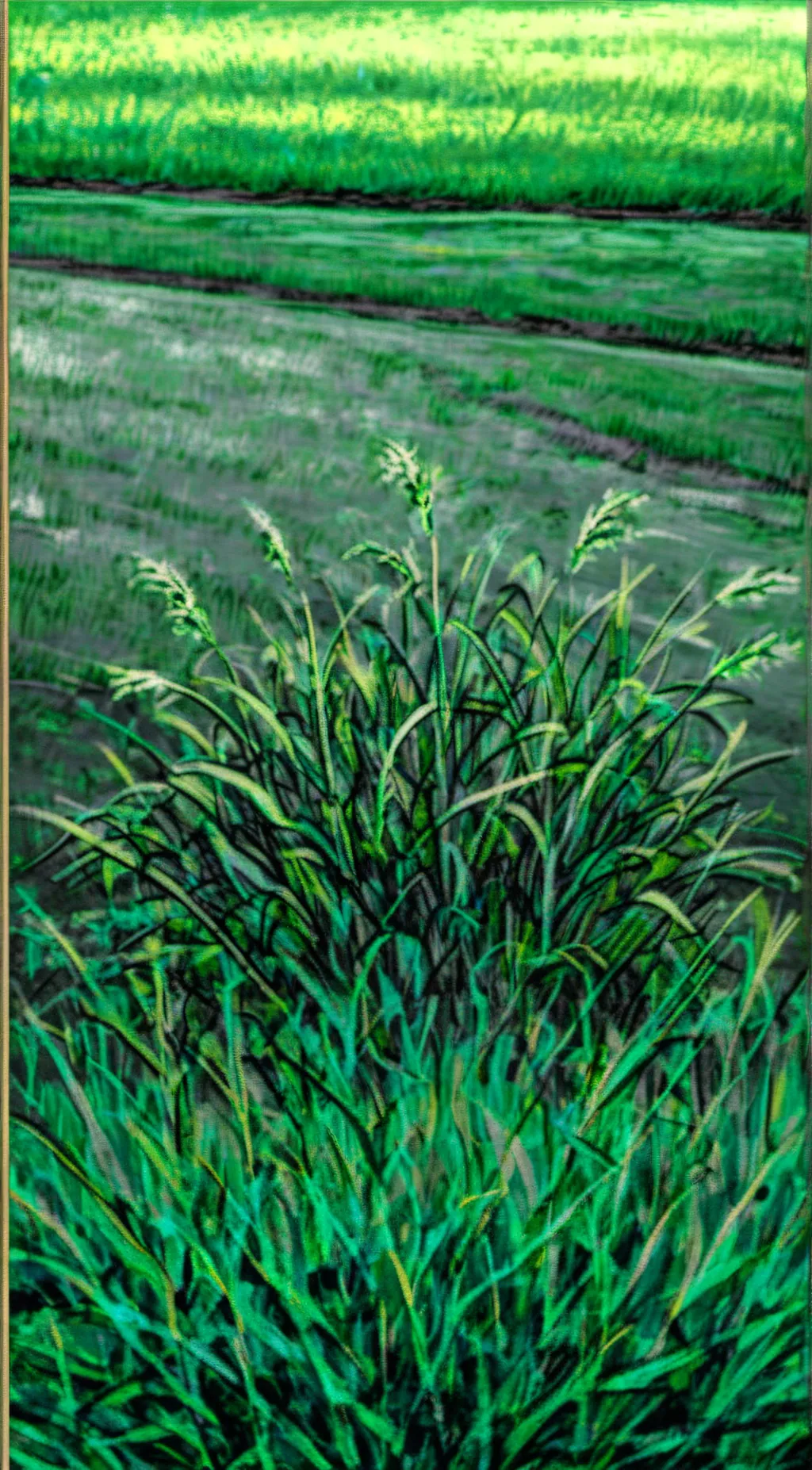 ai character: Grass💀☠️💀☠️ background
