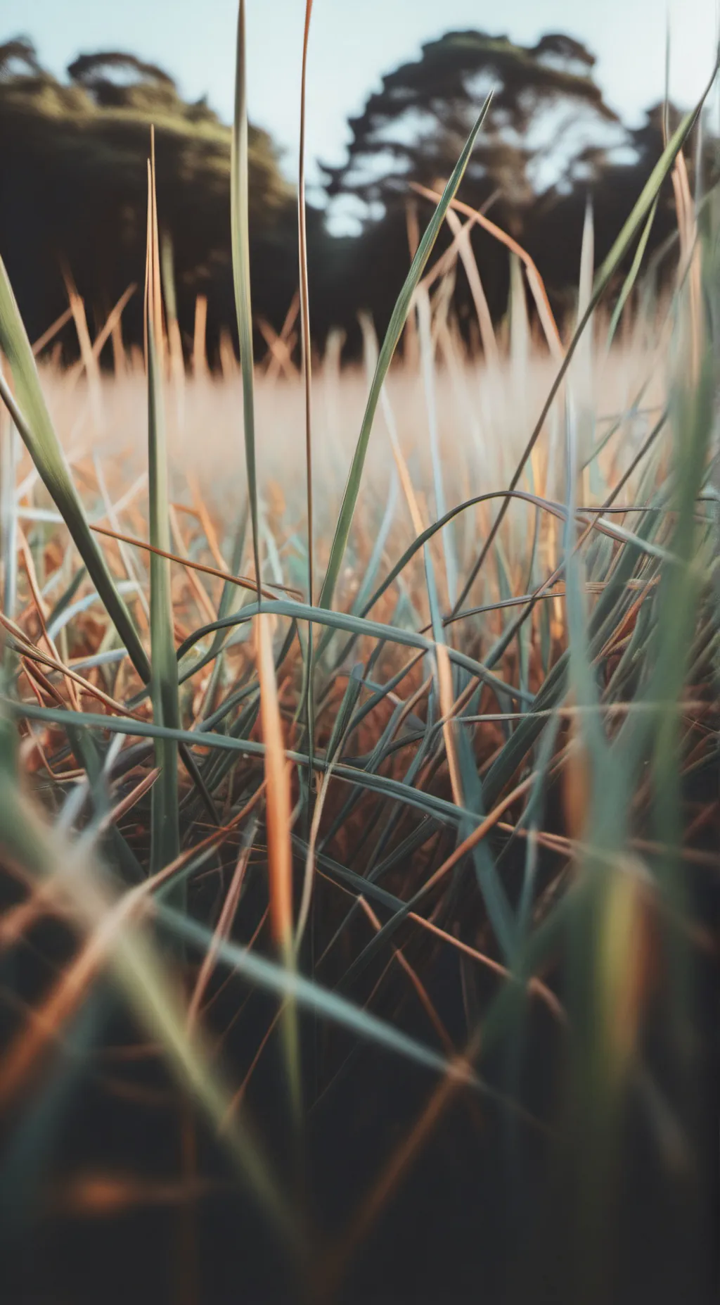 ai character: grASS background