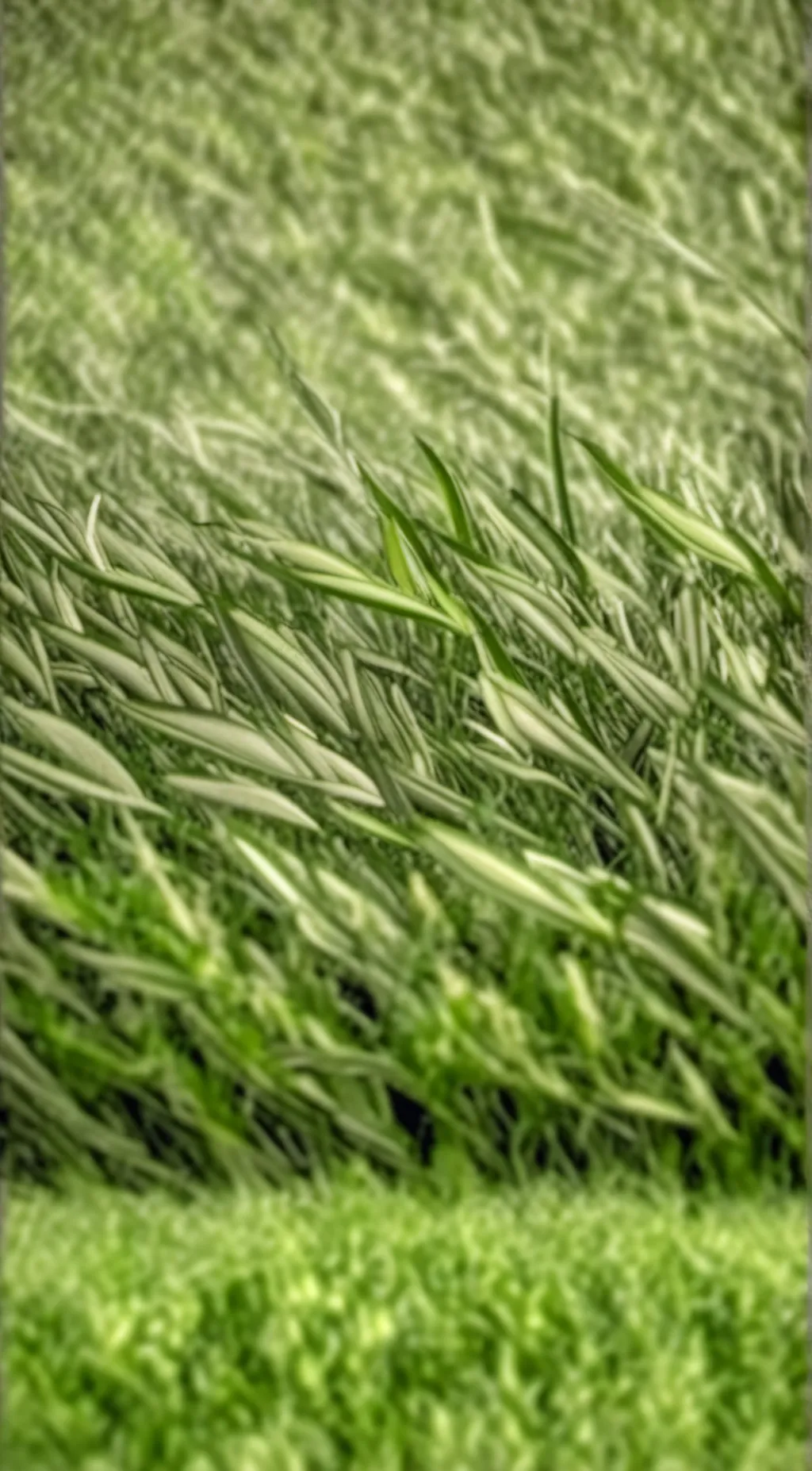 ai character: Grass background
