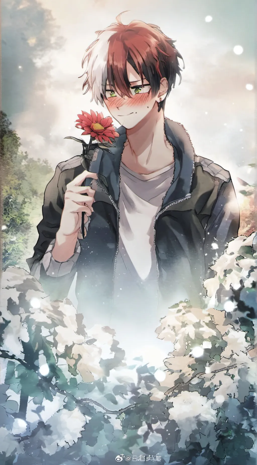 ai character: Shoto todoroki🔥 background