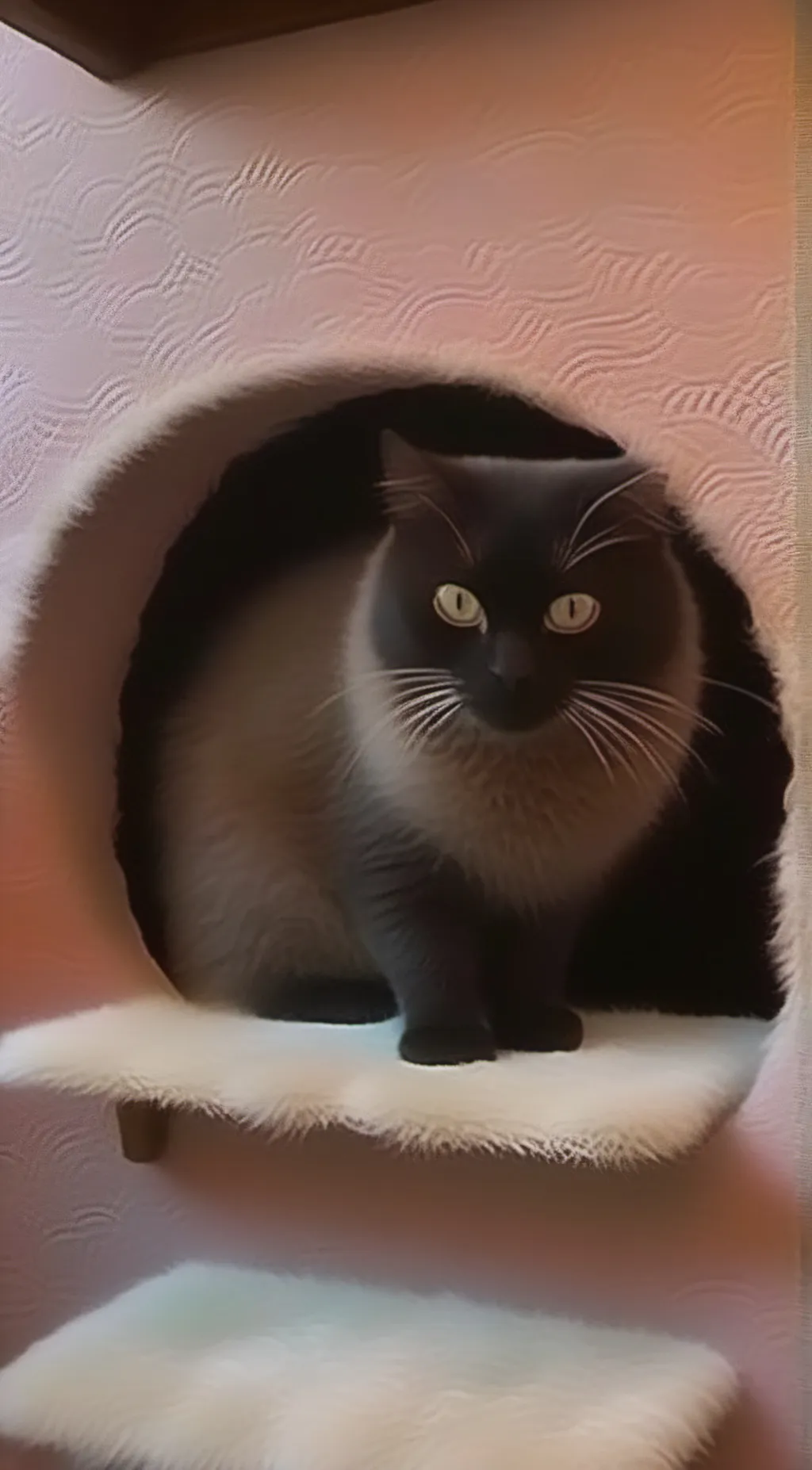 ai character: kitty!  background