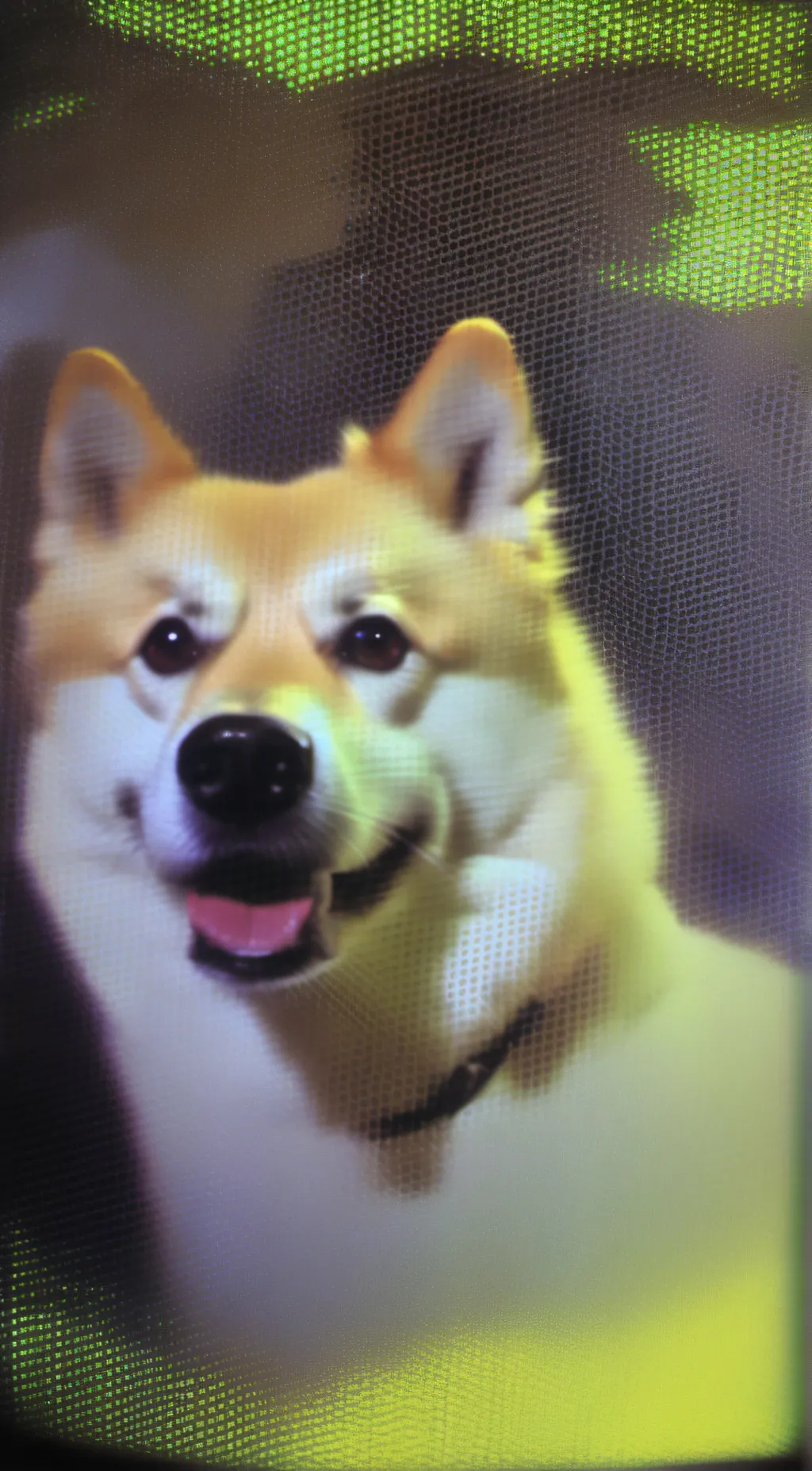 ai character: doge coin  background