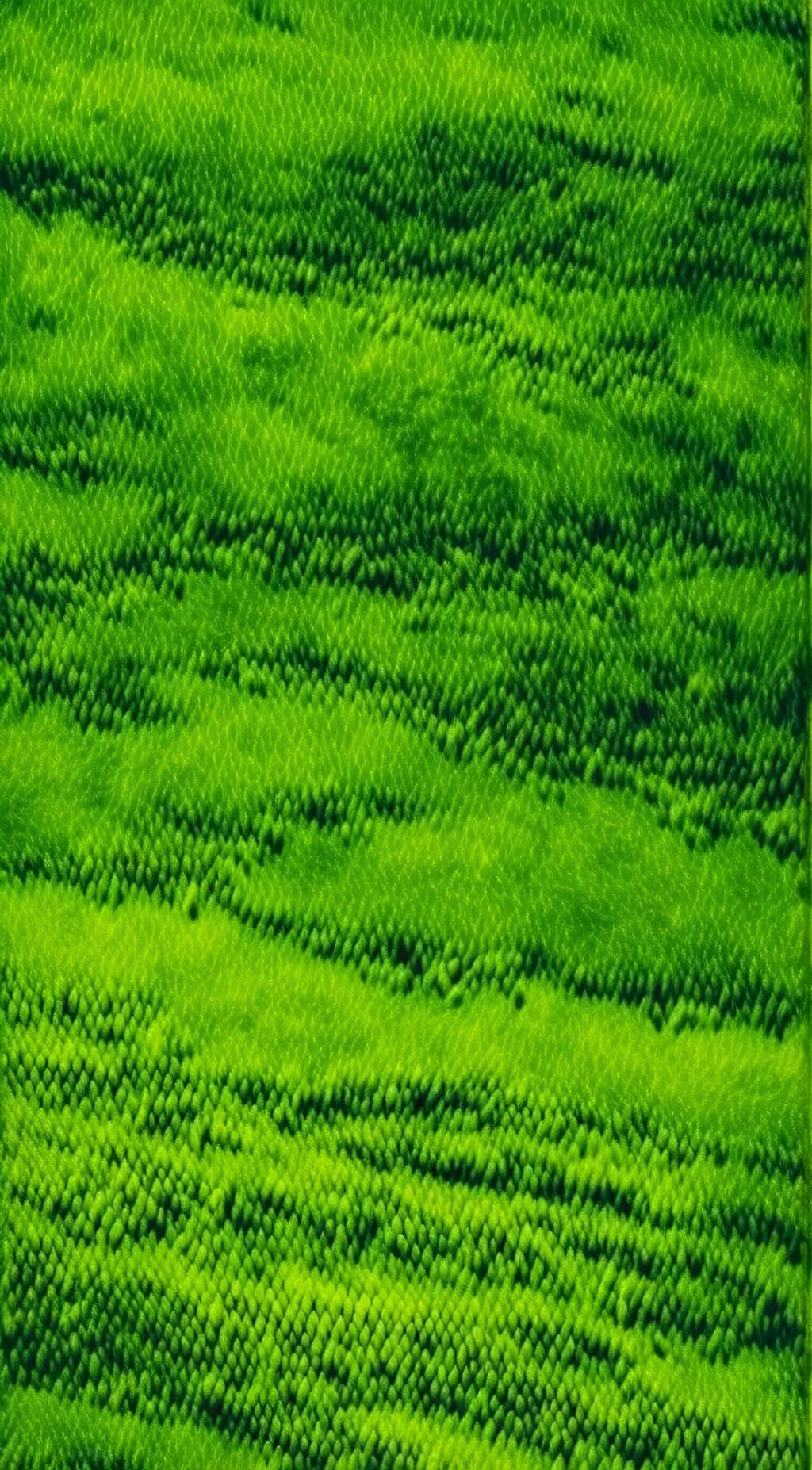 ai character: touch grass☠️☠️☠️ background