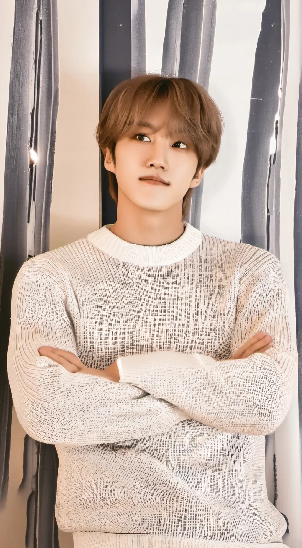 ai character: Han Jisung background