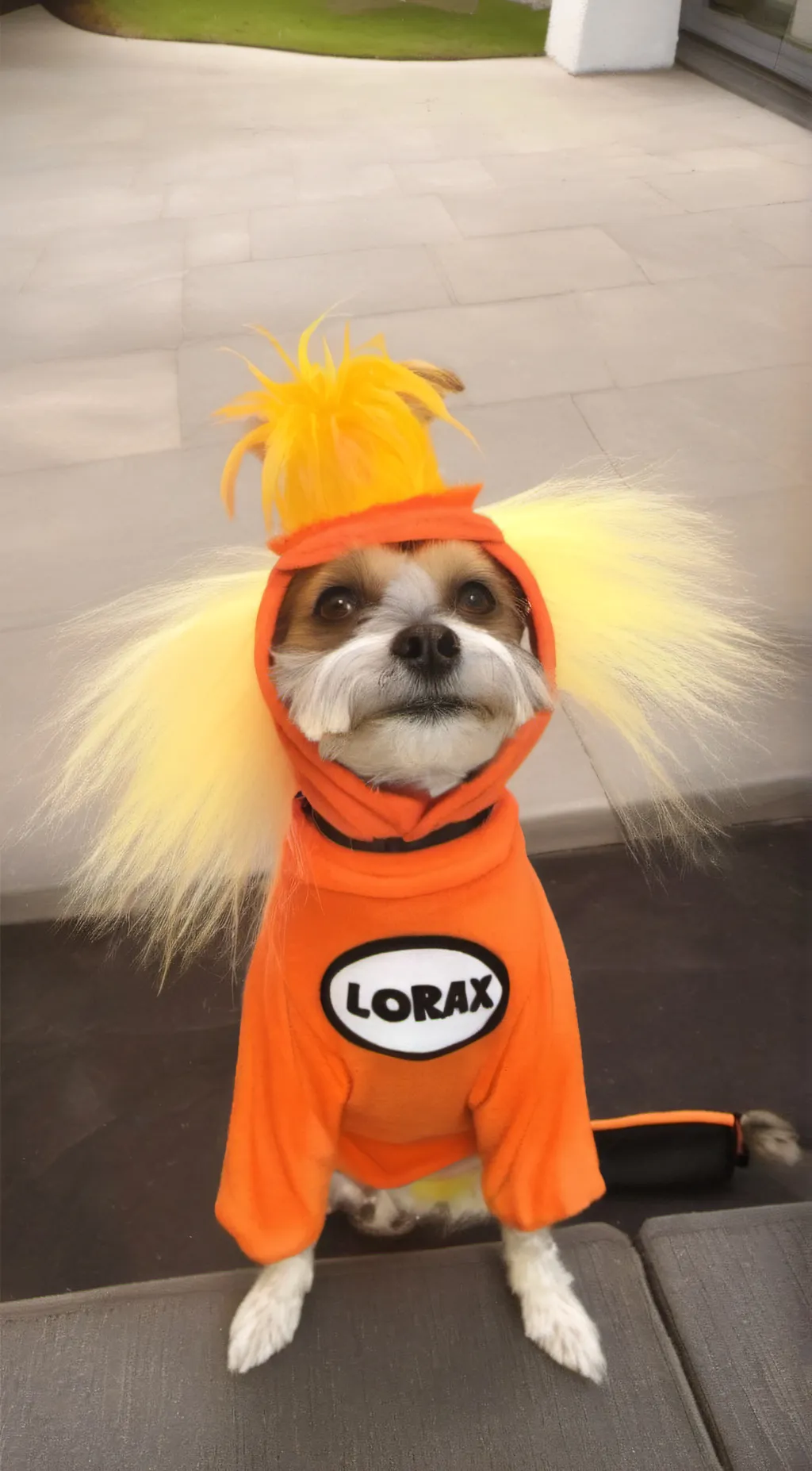 ai character: Doge background