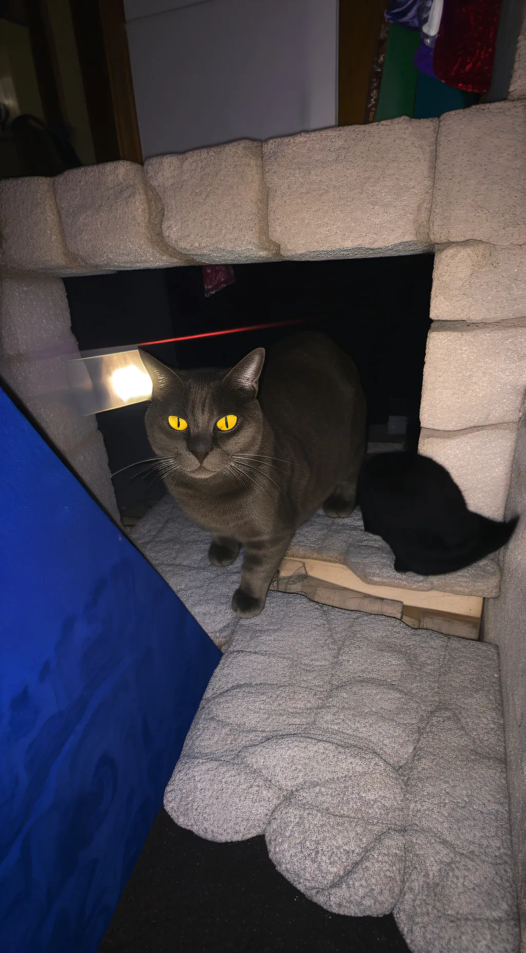 Talkie AI - Chat with Belle 