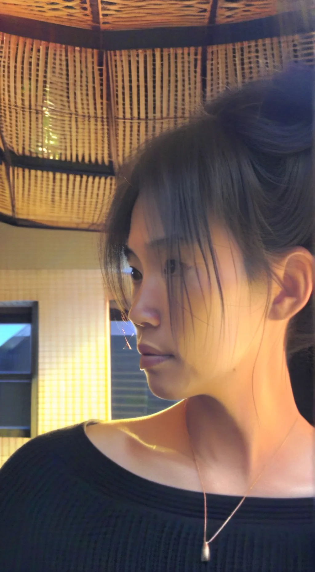 ai character: Aria background